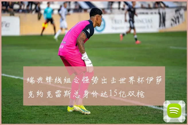 瑞典锋线组合强势出击世界杯伊萨克约克雷斯总身价达15亿双枪